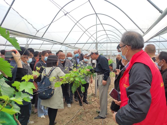 食品营养健康""老年人营养健康"等讲座;到田村间地头开展科技咨询服务